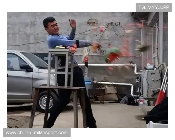 一拳破风雷探秘通背拳独门劲道与中华武学刚柔奥秘