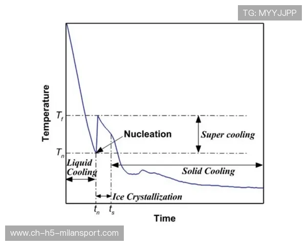 模型视角：胜负概率与风险点