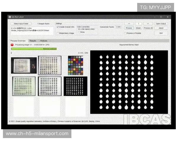 VAR时长缩短实验取得阶段成果